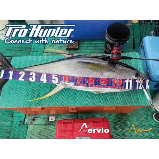 Kaido-Nervio Solid Caron Baitcast Rod KNC591-XHS J