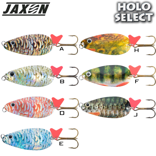 Jaxon H.S Karas Krol #3 24 Gr
