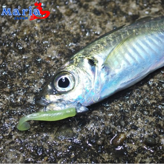 Ma2 Worm Action Fish 1.8 Ma2 Worm Action Fish 1.8
