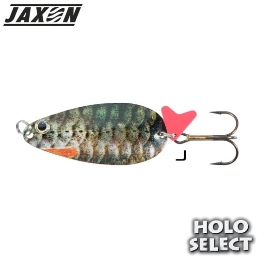 Jaxon H.S Karas Krol #3 24 Gr